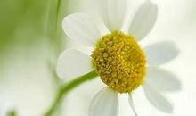 过往烟云只为一梦