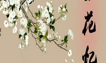 我爱家乡的梨花