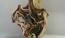 常怀真善美之心常干真善美之事