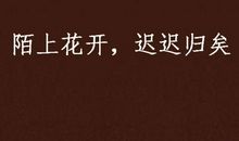 不变的是花开的信念