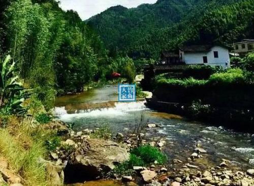 如果我成为流