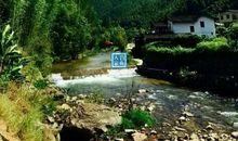 假如我变成一条溪流