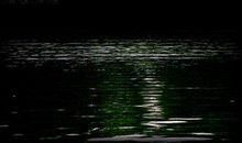 那个月光如水的夜晚