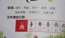 我是春天的小燕子