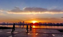 待繁花开·有故人归