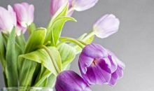 我自轻盈我自香