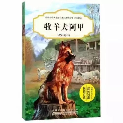 看完牧羊犬阿甲