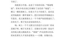 我爱秋天的果园作文300字