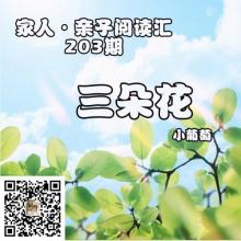 小灵通漫游未知国家