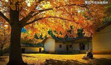 家有一个顽皮鬼