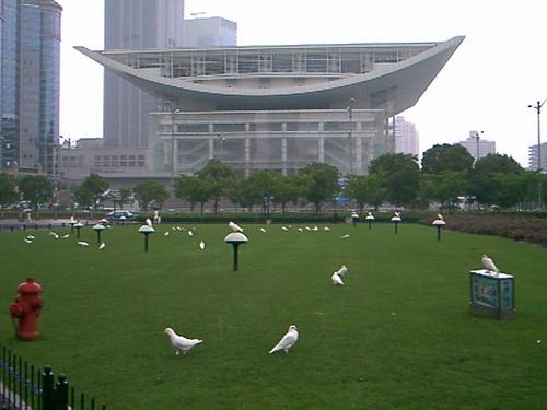 梦想星期天