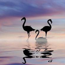 时间好，向前发展