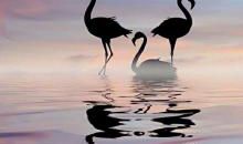 岁月静好·负重前行