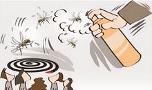 描写蚊子的作文