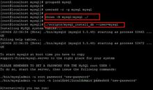 在数据库中找一下阳光