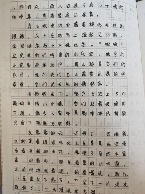 窗外800字