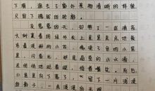窗外作文800字初二