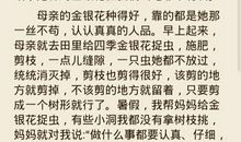 漫画老师作文400字