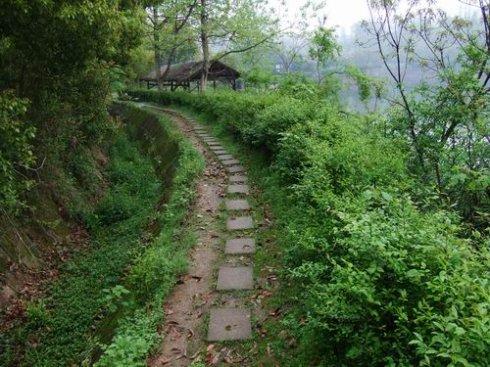 普通路径