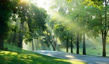 你是生活的阳光