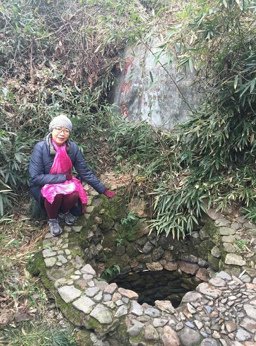 九龙园之旅