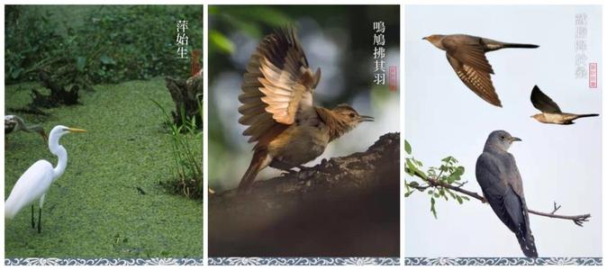 四个季节的雨