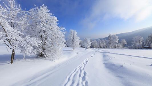 雪中​​的温暖