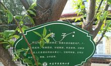 我和果园有个约会