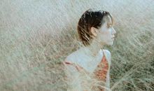 致温凉岁月之卖馄饨读后感