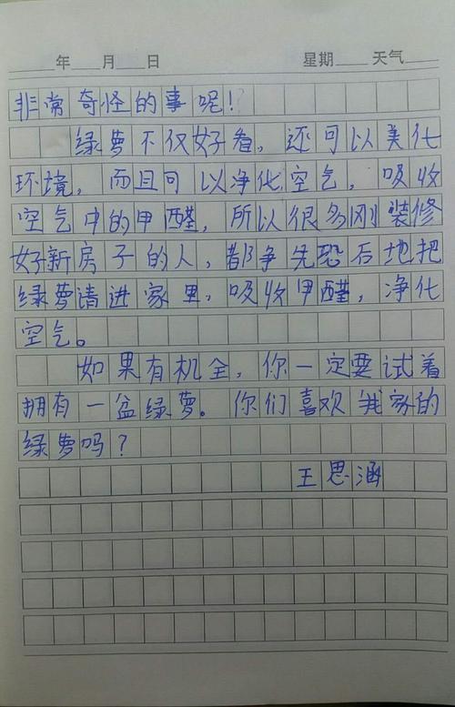 我眼中的多彩世界