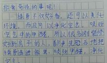 我眼里的缤纷世界