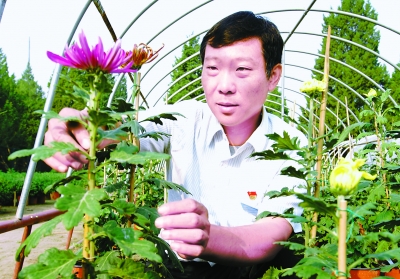 坚持让成功之花绽放