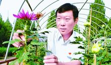 坚持让成功之花绽放