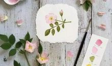 一张纸条的等待