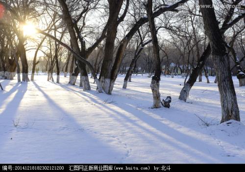 校园初冬雪景