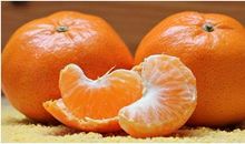 我最喜爱的桔子