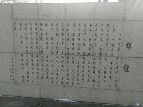生活就像国际象棋的突破一样宝贵