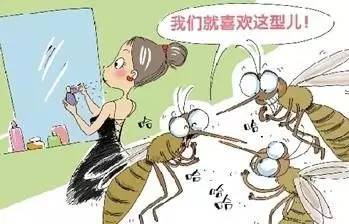 蚊子战争