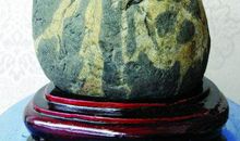 当一块石头有了愿望读后感