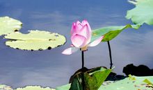 尊重他人就是善待自己