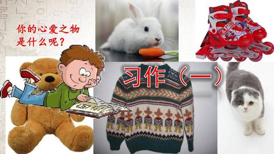 我心爱的玩具