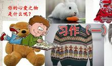 我的心爱之物玩具