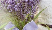 想起那一缕芳香