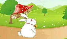 小白兔的蘑菇伞