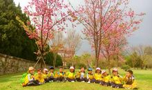 美好的记忆在春天