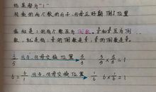 暑假是这般斑斓