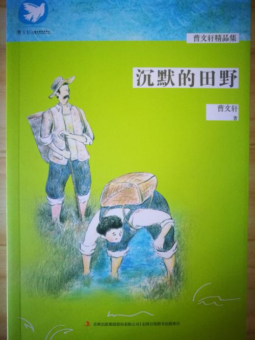 男孩对田野读书的想法
