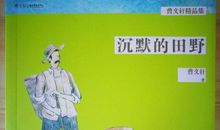 男孩的田野读后感