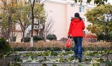 冬风起，秋叶落