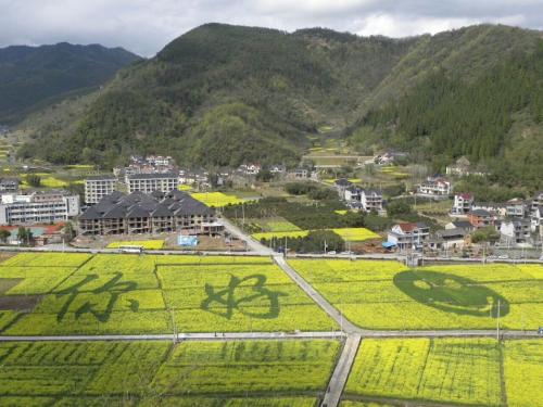 美丽的故乡